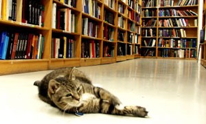 Saving Money on Books