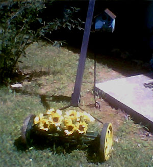 Old Timey Lawnmower Lawn Decoration