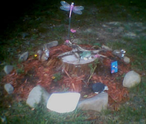 Tree Stump Garden