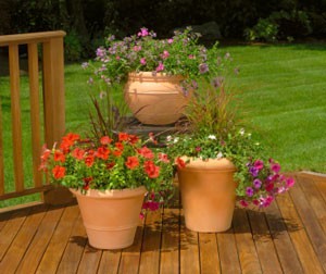 Filler for Flower Pots