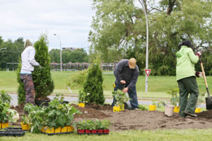 Frugal Landscaping Tips