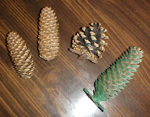 PineconeXmas
