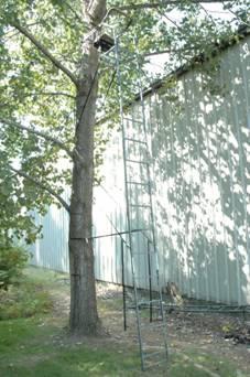 Picture of Recalled Ladder Stand