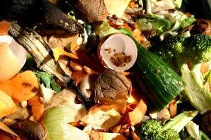 What Not to Put In Compost Pile