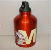 Picture of Recalled Alpine Design Aluminum Water Bottle