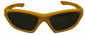 Picture of Recalled Sunglasses