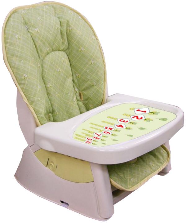 Picture of Recalled Children's Feeding Seat