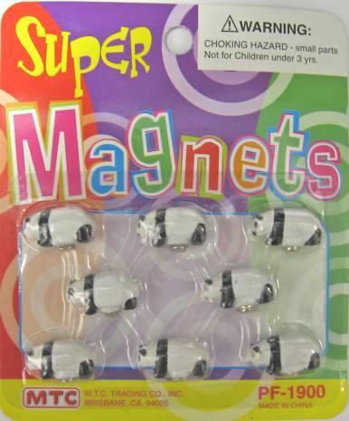 Picture of Recalled Super Magnet
Toy