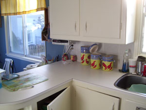 Color Suggestions for Counter Tops