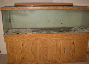 Removing Water Spots from Empty Fish Tank