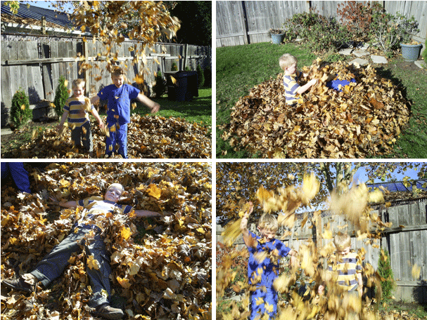leaves607x456.gif