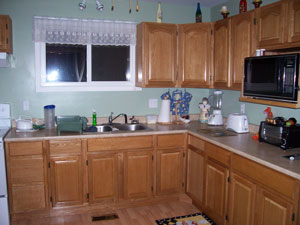 New Paint Color for Sage Kitchen