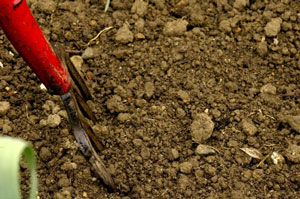 Ideas For Sifting Rocks Out Of Garden
