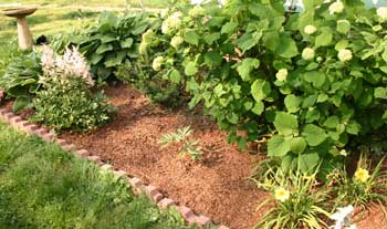 mulching your garden