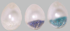 West Music Recalls Egg-Shaker Toy Instruments Due to Choking and Aspiration Hazards