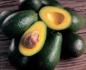 Using Avocados