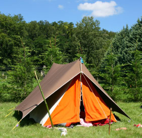 Camping Advice for Cooking, Set-Up and More