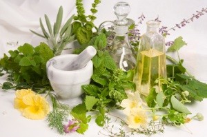 Herb and Spice Charts for Your Refrigerator