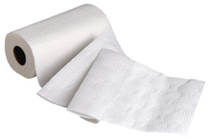 Saving Money on Paper Towels