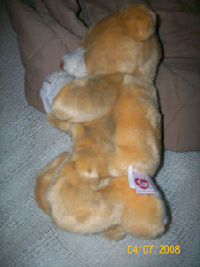 Removing Smoke Stains On Stuffed Animals