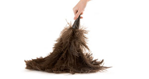 Dusting Tips: Dealing with Dust