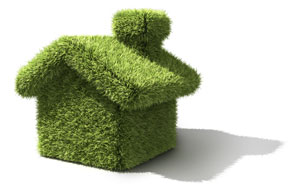 Greening The Exterior Of Your Home