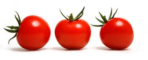Growing Tomatoes In Black Plastic Bags
