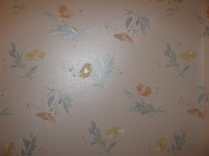 What is this wallpaper?
