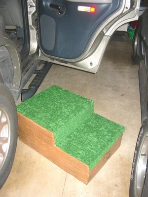 Dog Ramp from Styrofoam