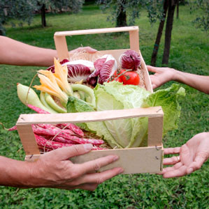 Plant A Row For The Hungry 