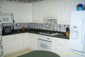 What Color to Paint Kitchen with Dark Green Counter Tops
