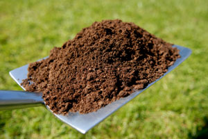 What To Do With Finished Compost