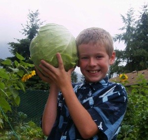 A Cabbage as Big as His Head