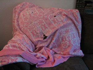 Restoring Childhood Blanket