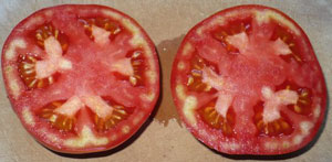 Red Tomatoes Are Green Inside
