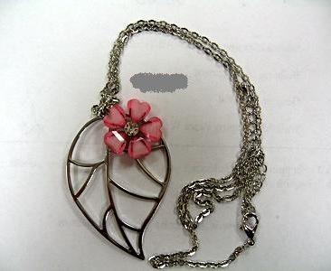 Picture of Recalled Children's Jewelry