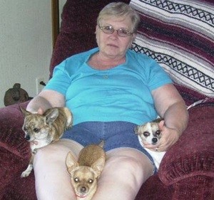 Chocolate Chip, Chocolate Cookie and Chocolate Kiss (Chihuahua)