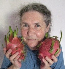 Dragon+fruit+cactus