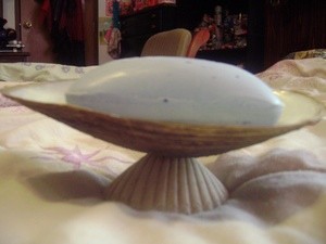 Seashell Soap Dish