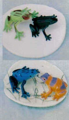 Frog Pond Soap