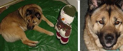 Maggie and Snowman