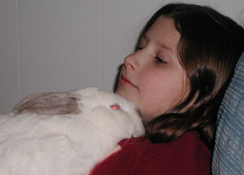 Thumper - California King Rabbit