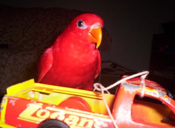 des
