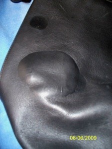 Bumps on a Coach Purse