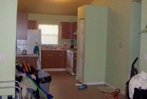 Paint Color Advice