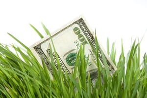 Save Money With Good Mowing Practices