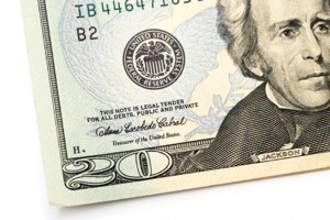 The $20 Money Diet