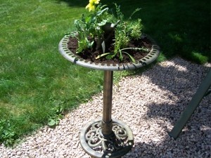 Garden: Birdbath Planter
