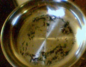 Burnt Oil on a Stainless Steel Pan