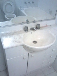 Hair Dye Stain in a Sink